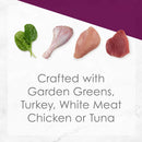 Fancy Feast Medleys Florentine Wet Cat Food Variety Pack