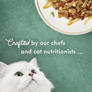 Fancy Feast Medleys Beef Ragu with Tomato & Pasta Wet Cat Food