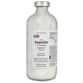 Ampicillin (generic) Injection 25g (200 ml)