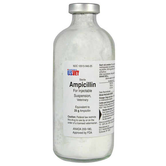 Ampicillin (generic) Injection 25g (200 ml)