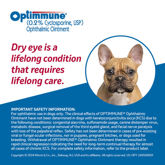 Optimmune Ophthalmic Ointment (Cyclosporine 0.2%)