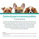 Optimmune Ophthalmic Ointment (Cyclosporine 0.2%)