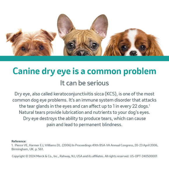 Optimmune Ophthalmic Ointment (Cyclosporine 0.2%)