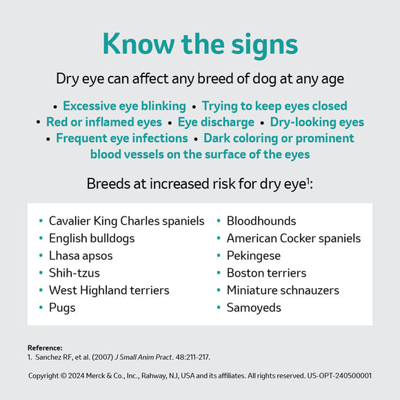 Optimmune Ophthalmic Ointment (Cyclosporine 0.2%)