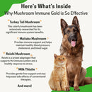 Mushroom Immune Gold - Holistic Cancer Support for Dogs (8 oz)