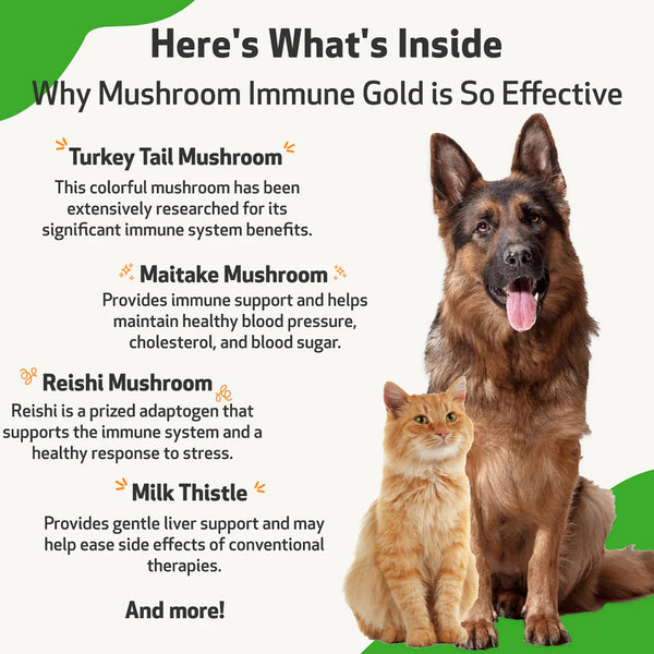 Mushroom Immune Gold - Holistic Cancer Support for Dogs (8 oz)