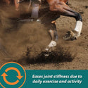 Farnam Next Level Joint Fluid Supplement For Horses (32 oz)