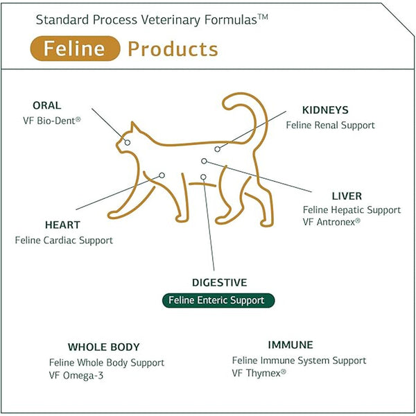 Standard Process Feline Enteric Support (90 tablets)