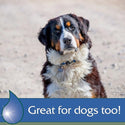 Farnam Vetrolin Body Wash Gentle Moisturizing for Dogs & Horse(32 oz)