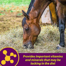 Red Cell Vitamin-Iron-Mineral Supplement for Horses (Gallon)