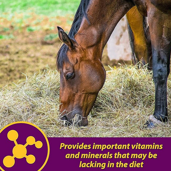 Red Cell Vitamin-Iron-Mineral Supplement for Horses (Gallon)