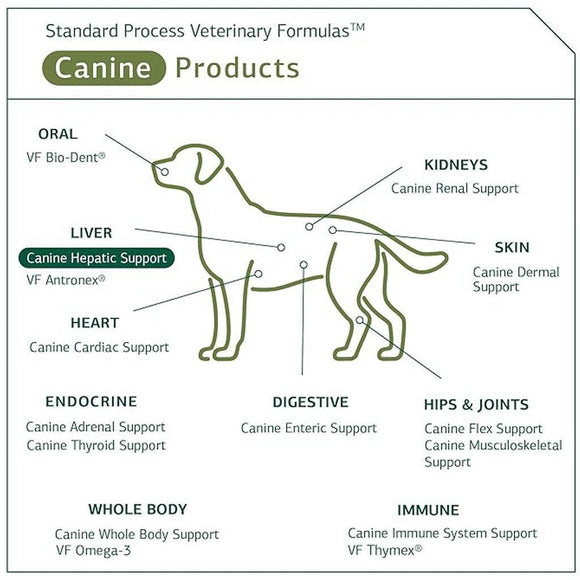 standard process canine supplements