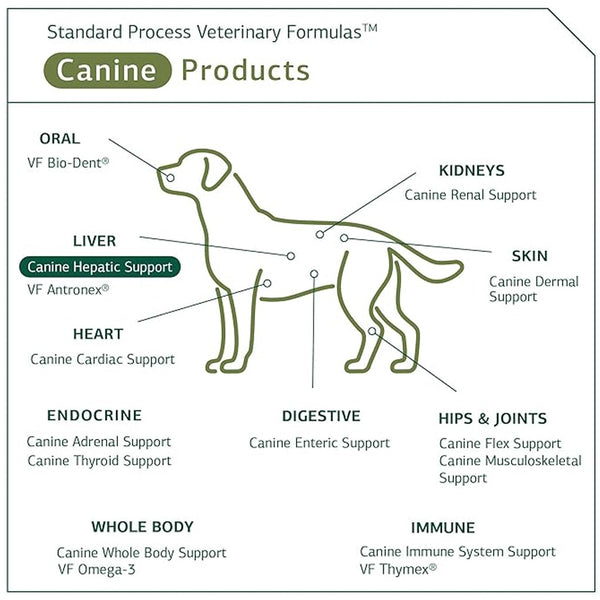 Standard Process Canine Hepatic Support Liver Metabolism Support for Dogs(30 g)