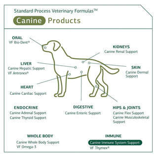 Standard Process Canine Immune Support 110 g