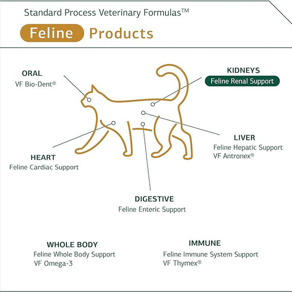 Standard Process Feline Renal Support- Kidney and Urinary Health for Cats (90 tablets)