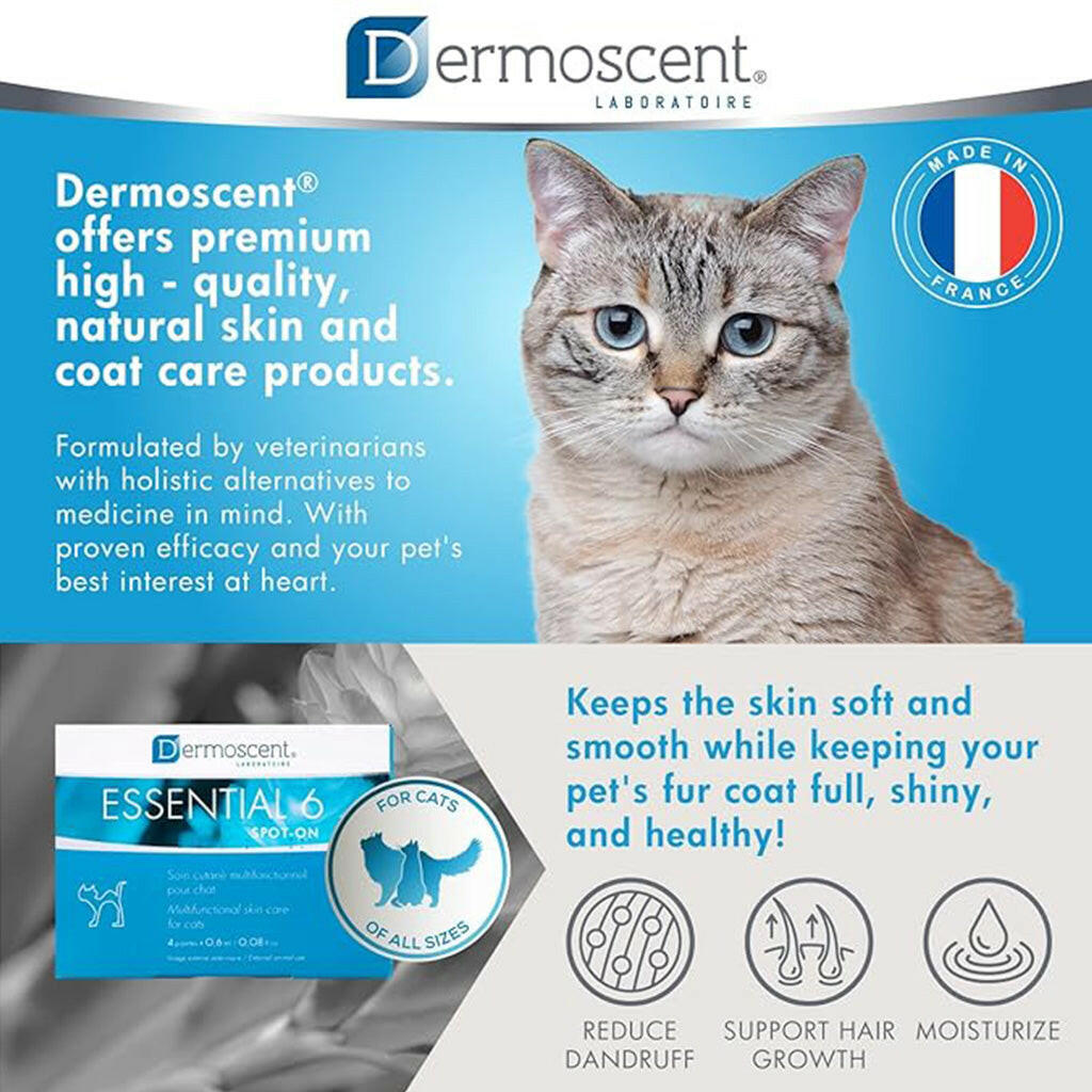 Dermoscent Essential-6 SpotOn Skin Care for Cats (4 count)