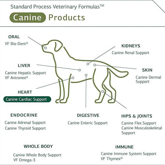 standard process canine supplements