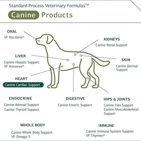 Standard Process Canine Cardiac Support-  Heart Supplement for Dogs (25 g)