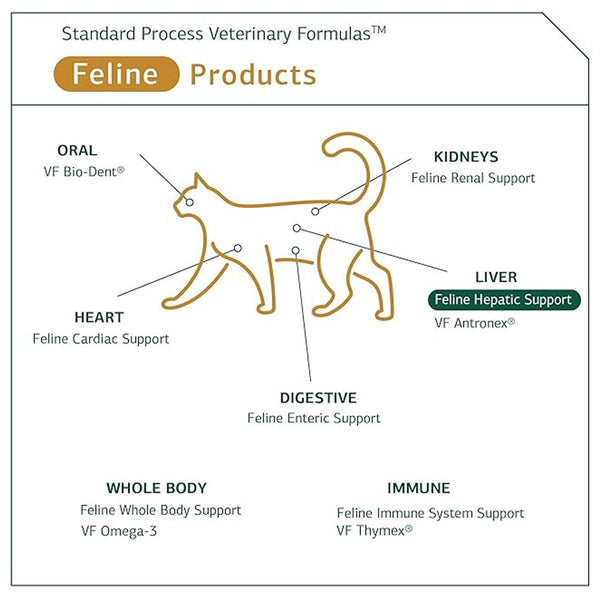 Standard Process Feline Hepatic Support (90 tablets)
