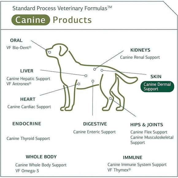 Standard Process Canine Dermal Support (30 g)