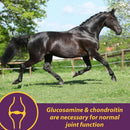 Horse Health Products Joint Combo Classic Pellets Horse Supplement (8 lb)