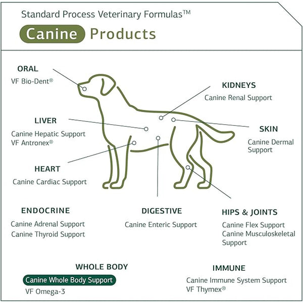 Standard Process Canine Whole Body Support (25 g)