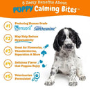 Zesty Calm Bite Turkey Flavor Soft Chew Supplement For Puppy (90 ct)