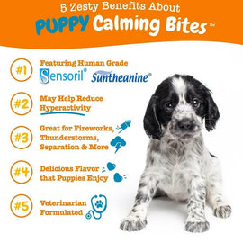 Zesty Calm Bite Turkey Flavor Soft Chew Supplement For Puppy (90 ct)