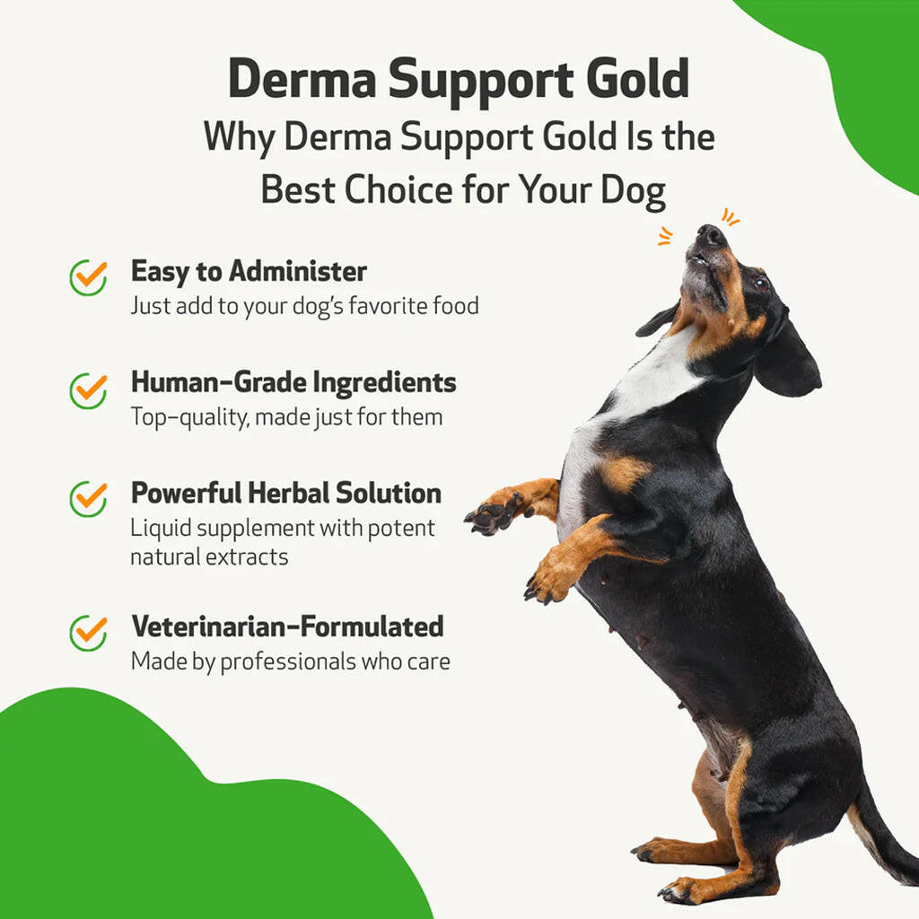 Derma Support Gold for Dogs Healthy Coat, Odor & Itching (2 oz)