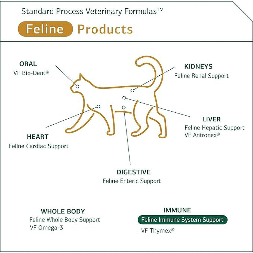 standard process feline immune system support