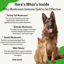 Mushroom Immune Gold - Holistic Cancer Support for Cats (8 oz)