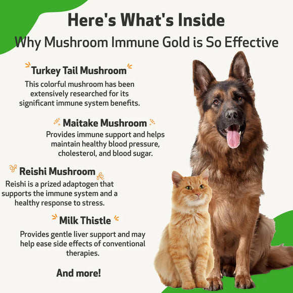 Mushroom Immune Gold - Holistic Cancer Support for Cats (8 oz)