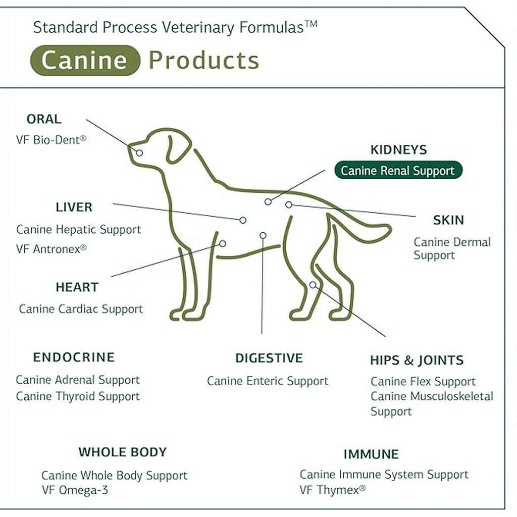 Standard Process Canine Renal Support (30 g)