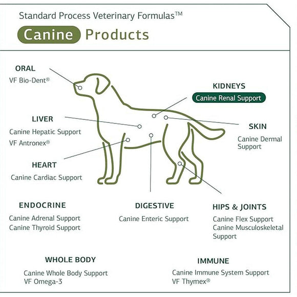 Standard Process Canine Renal Support (30 g)