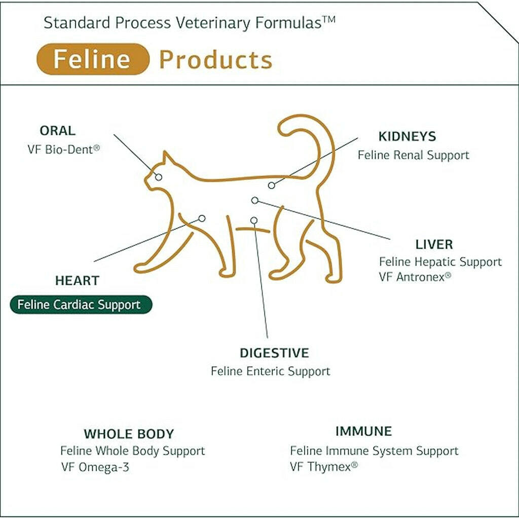 standard process feline cardiac support