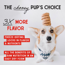 Stella & Chewy's Chewy's Chicken Dinner Patties Freeze-Dried Raw Food for Dogs-4