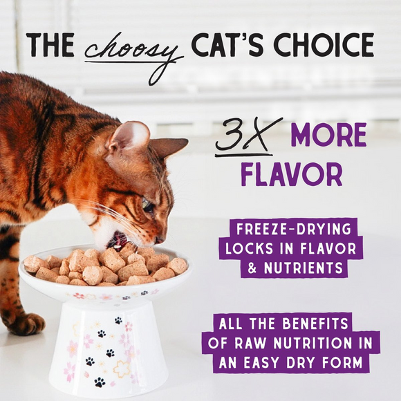 Stella & Chewy's Yummy Lickin' Salmon & Chicken Dinner Morsels Freeze-Dried Raw Food for Cats