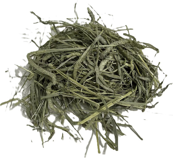 Blue Mountain Hay Timothy Hay Small Animal Food