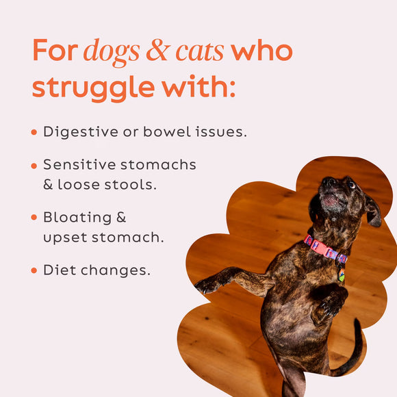 Diggin Your Dog Firm Up Pumpkin Digestive Aid for Dogs & Cats