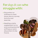 Super Snouts Joint Power Health Supplement for Dogs & Cats-5