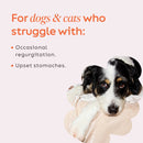 Super Snouts Pumpkin Latte for Dogs & Cats-6