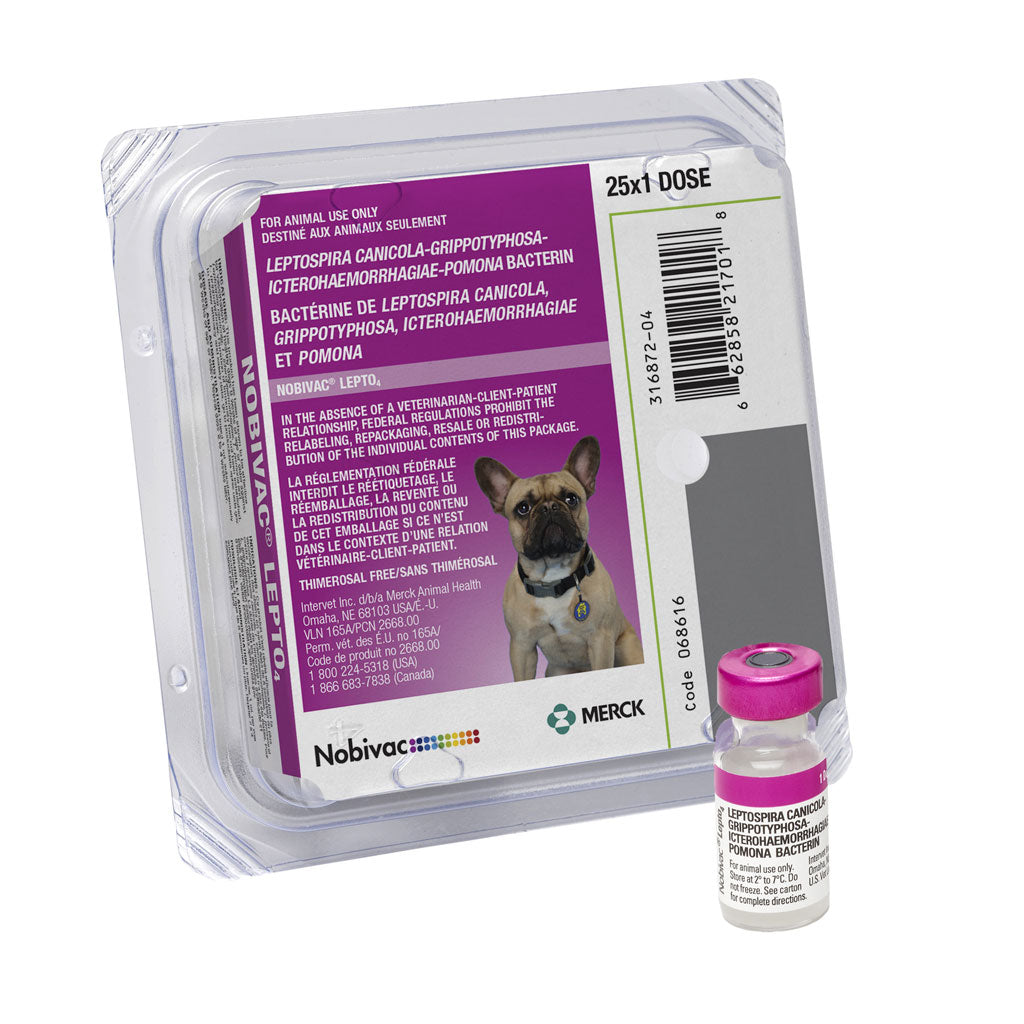 Nobivac Lepto 4 Vaccine for Dogs, 25 Doses