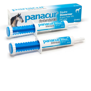 Panacur Equine Paste 10% Horse Dewormer, 25g, 2-pack