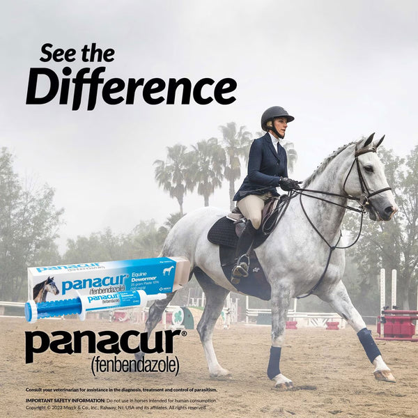 Panacur Equine Paste 10% Horse Dewormer