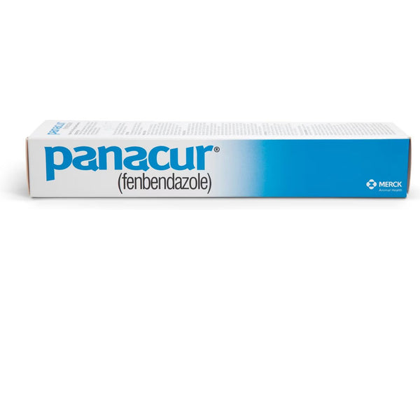 Panacur Equine Paste 10% Horse Dewormer