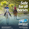 Panacur Equine Paste 10% Horse Dewormer