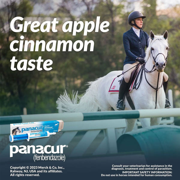 Panacur Equine Paste 10% Horse Dewormer