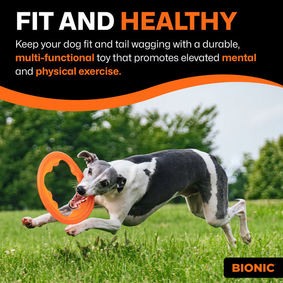 Bionic Toss-N-Tug Turbo Dog Toy