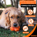 Bionic Treat Star Dog Toy-3