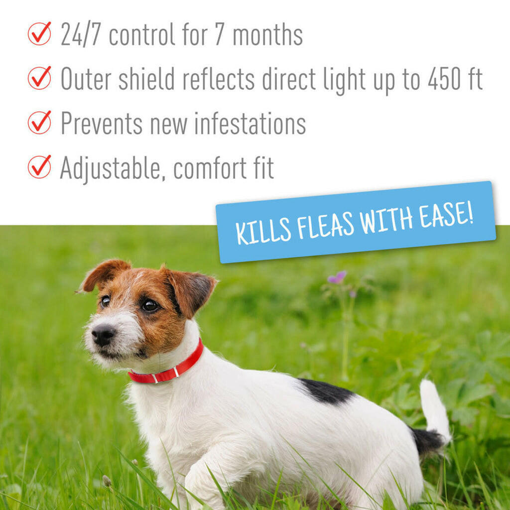 Adams Plus Flea and Tick Collar for Small Dogs